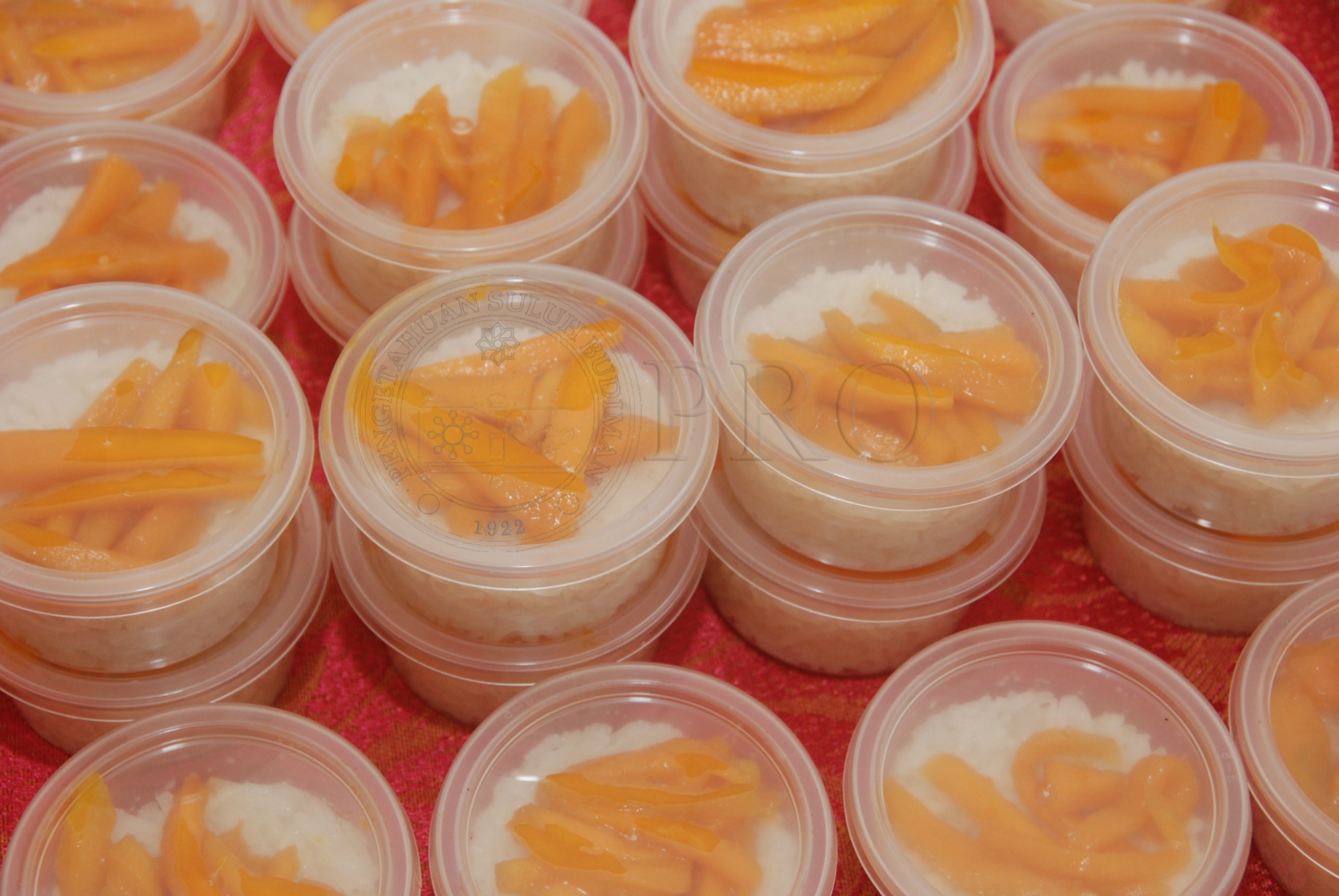 PRO 12 136 food DSC 9155